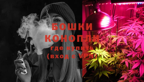 соль ск Нея