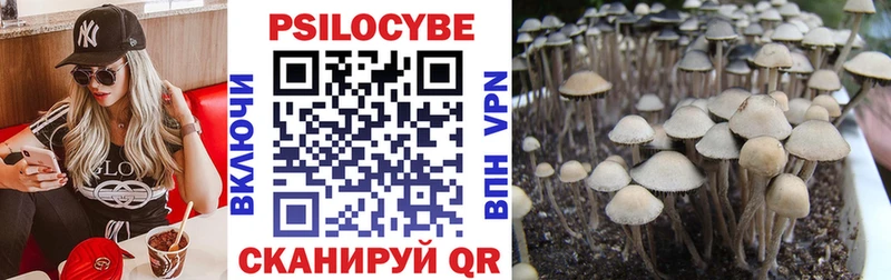 Псилоцибиновые грибы Psilocybine cubensis  Краснотурьинск 