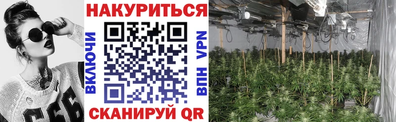 кракен ссылки  цена   Краснотурьинск  shop формула  Шишки марихуана Amnesia 